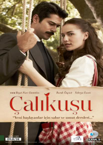 دانلود سریال چکاوک Calikusu 2013